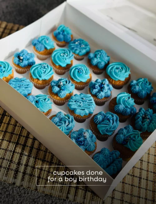 Boy Birthday Themed Cupcake